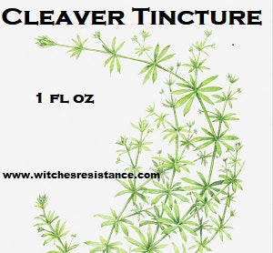 Cleaver Tincture (Galium Aparine)