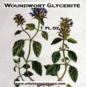 Woundwort Glycerite (Prunella vulgaris)